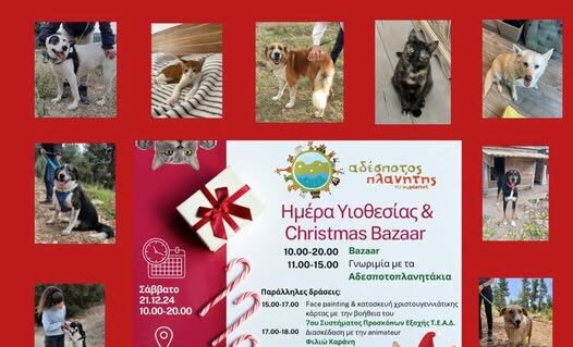Θεσσαλονίκη: Χριστουγεννιάτικο bazaar για τα αδέσποτα- «Στήριξε κι εσύ την προσπάθεια»