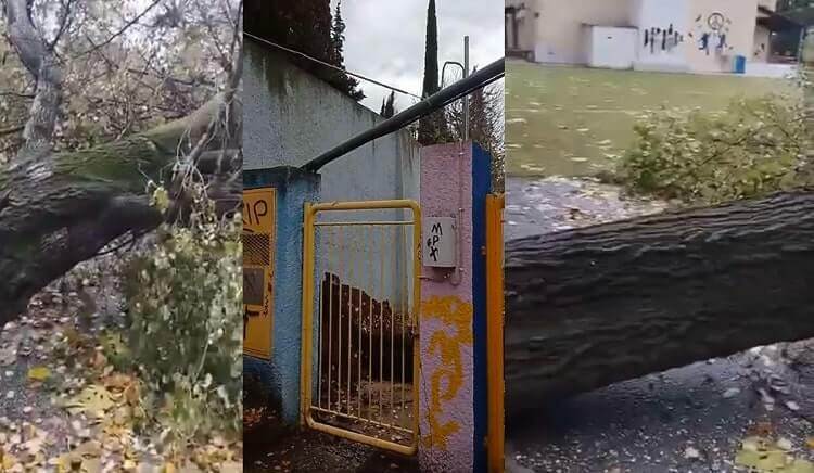 Κλειστό την Δευτέρα το 5ο Δημοτικό Σχολείο Σερρών