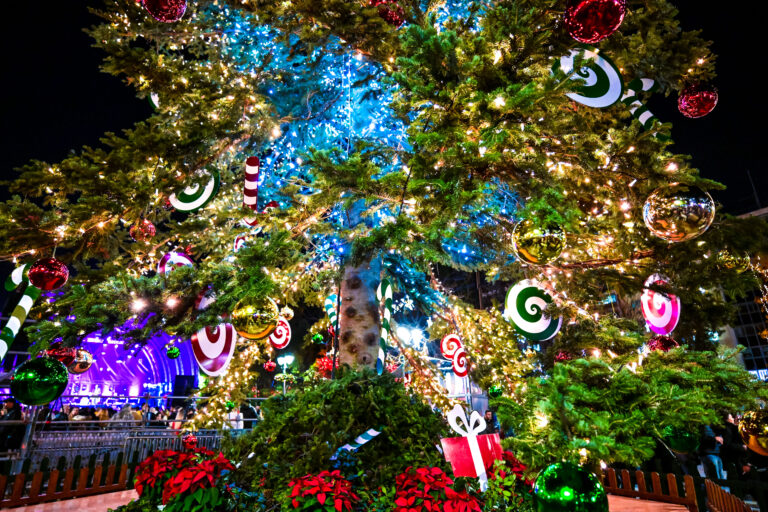 Χριστουγεννιάτικο bazaar από την Ομάδα Εθελοντισμού «Στήριξη», Παρασκευή 21 και Σάββατο 22 Νοεμβρίου