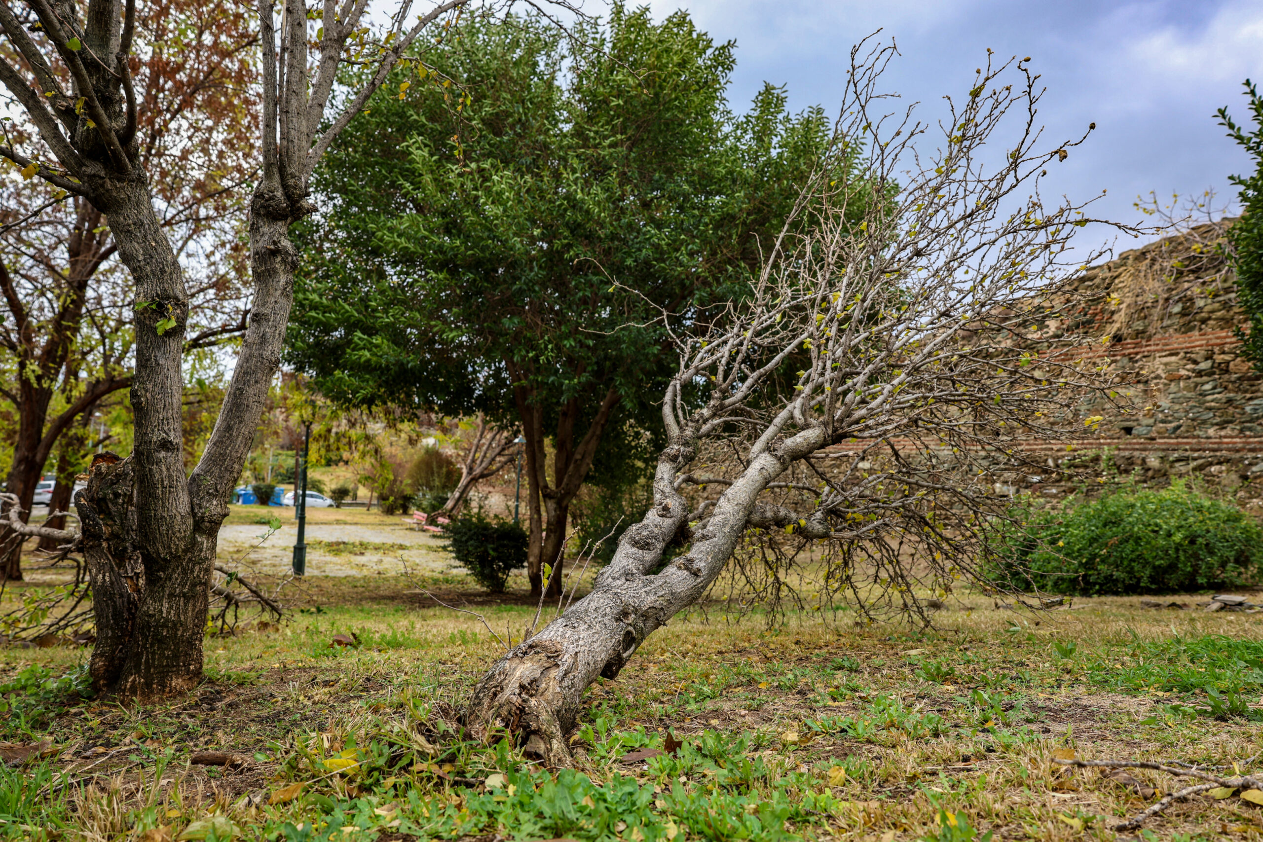 [373888] ΚΑΤΑΣΤΡΟΦΕΣ ΑΠΟ ΤΗΝ ΚΑΚΟΚΑΙΡΙΑ "BORA" ΣΤΗΝ ΘΕΣΣΑΛΟΝΙΚΗ
(ΡΑΦΑΗΛ ΓΕΩΡΓΙΑΔΗΣ/EUROKINISSI)
