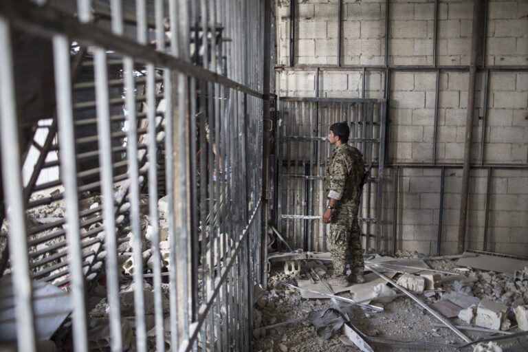 Συρία: Οι αντάρτες κατέλαβαν τη διαβόητη φυλακή Σεντνάγια – Γνωστή ως το «ανθρώπινο σφαγείο» του Άσαντ