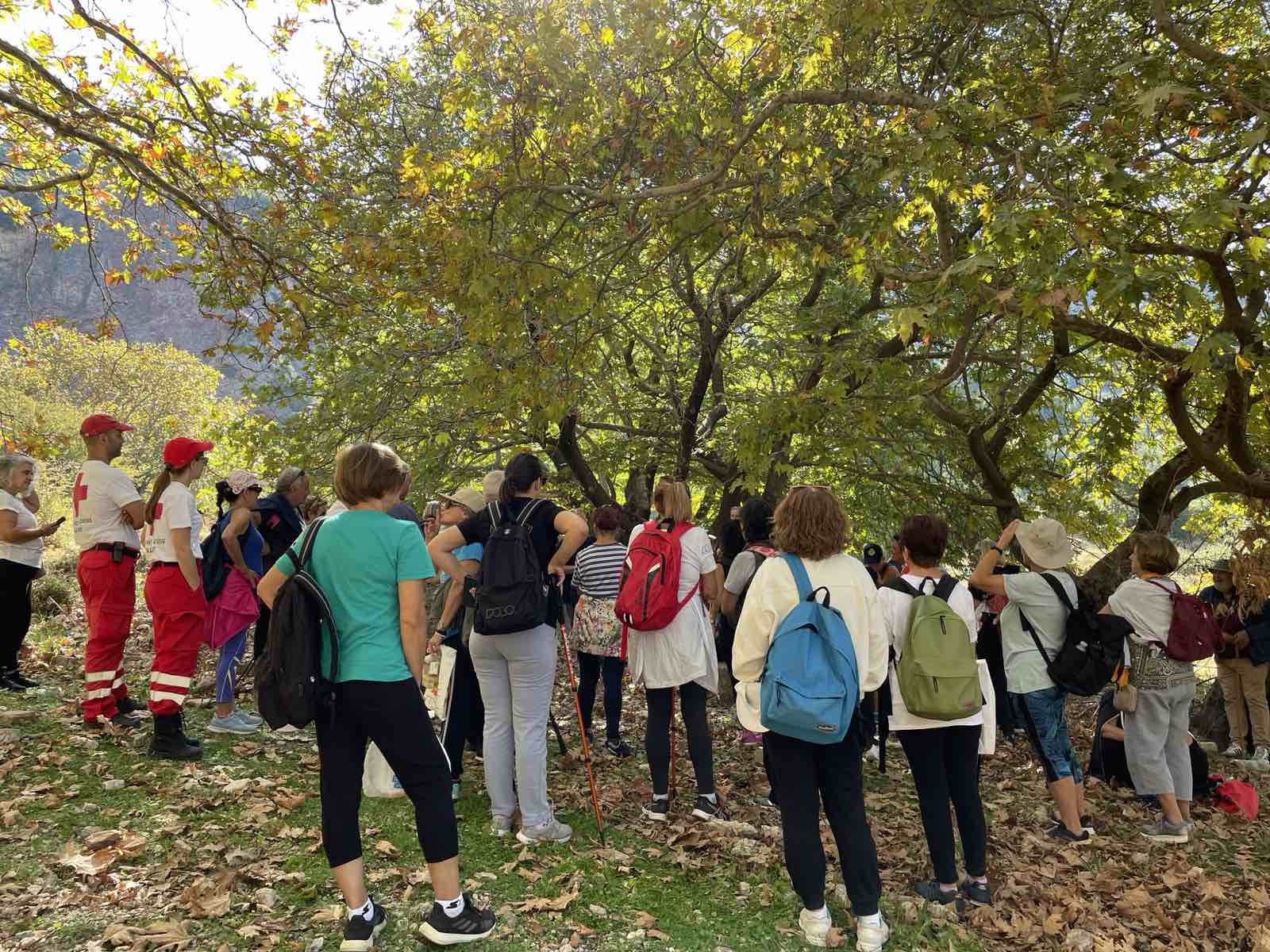 Πεζοπορία στο Παναχαϊκό όρος για το Πάρκο Εκπαιδευτικών Δράσεων
