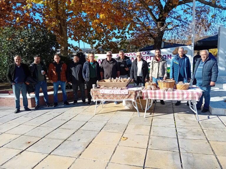 Μοίρασαν αμύγδαλα στους πολίτες οι παραγωγοί της Ελασσόνας ζητώντας «στήριξη και δίκαιες αποζημιώσεις»