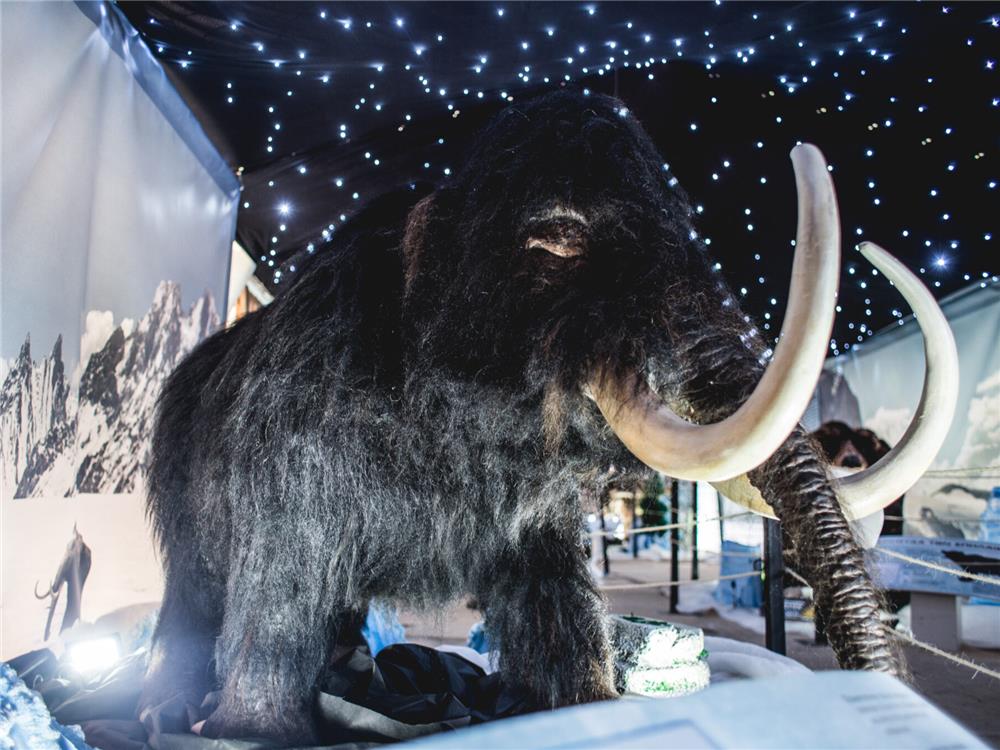 Καρδίτσα: Την Κυριακή, 15 Δεκεμβρίου, η επίσημη έναρξη του Πάρκου των Παγετώνων