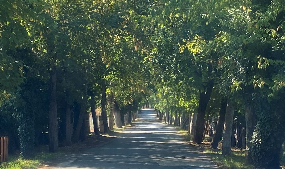 Συζήτηση για την ήπια ανάπτυξη στους οικισμούς του Μαινάλου