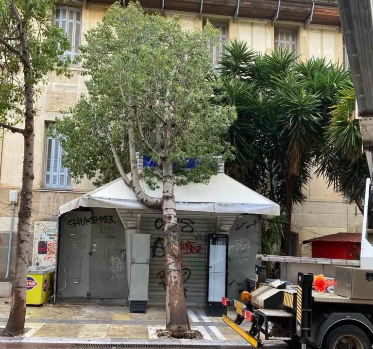 Ηράκλειο: Ξεριζώθηκε δέντρο στον πεζόδρομο της Δικαιοσύνης και έπεσε πάνω σε περίπτερο