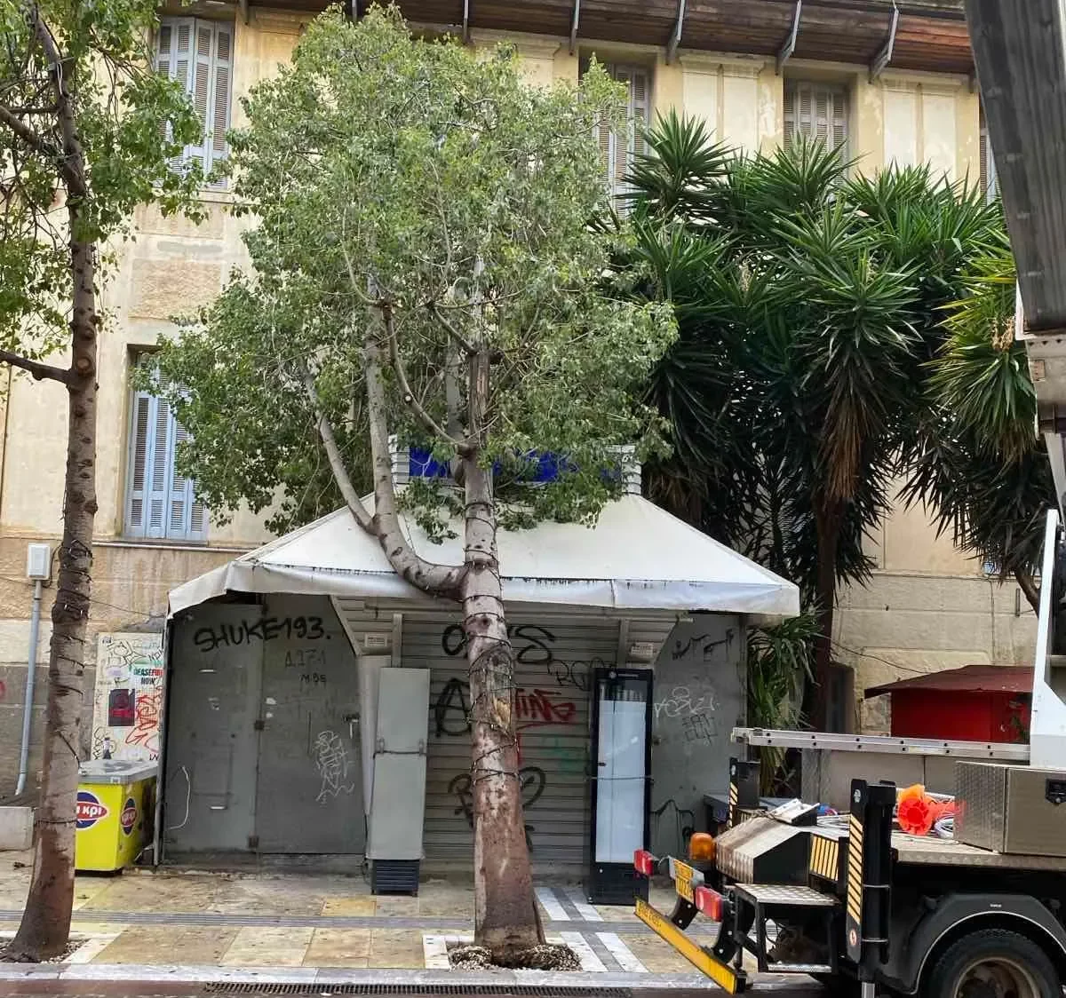 Ηράκλειο: Ξεριζώθηκε δέντρο στον πεζόδρομο της Δικαιοσύνης και έπεσε πάνω σε περίπτερο
