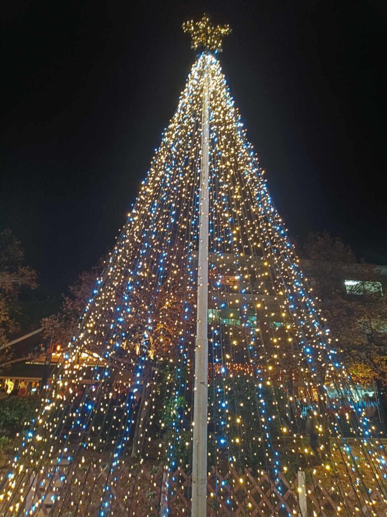 Με μηνύματα συμπερίληψης και ισότητας η φωταγώγηση του χριστουγεννιάτικου δέντρου στην Ηγουμενίτσα