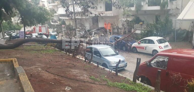 Προβλήματα από την κακοκαιρία: Κλήσεις για άντληση υδάτων και πτώσεις δέντρων – Σε ποιους δρόμους έχει διακοπεί η κυκλοφορία