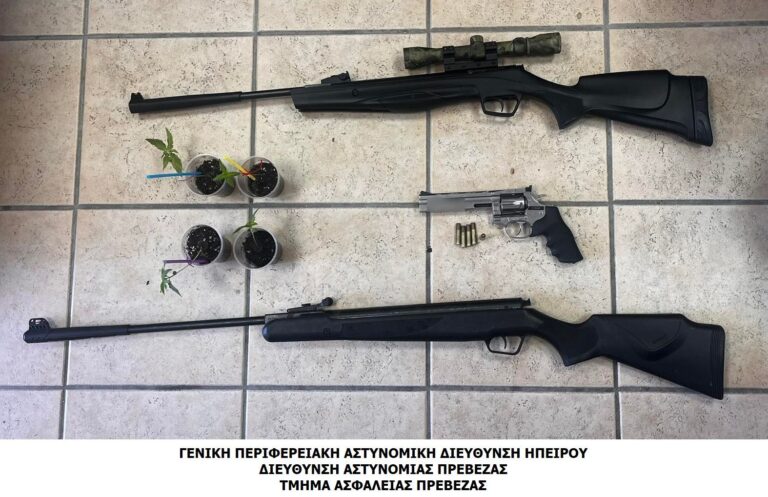 Σύλληψη 34χρονου στην Πρέβεζα για διασπορά ψευδών ειδήσεων, οπλοκατοχή και καλλιέργεια ναρκωτικών