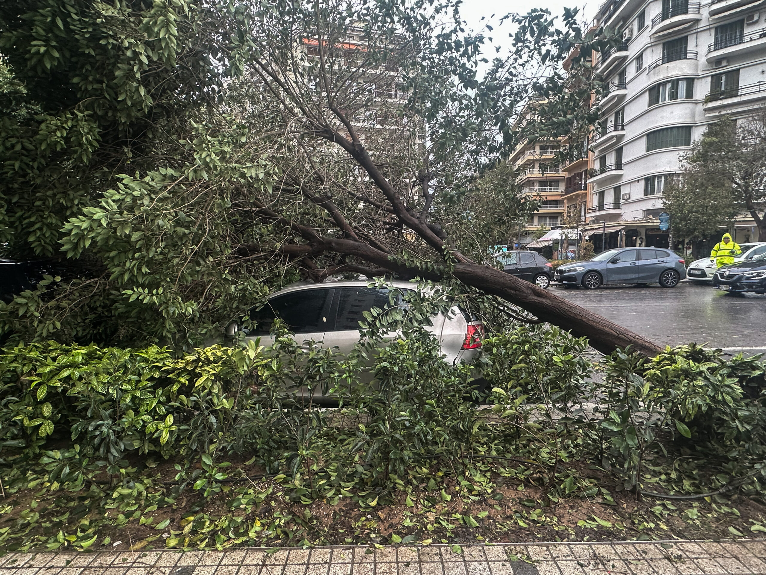 Σε κατάσταση έκτακτης ανάγκης ο Δήμος Θεσσαλονίκης – Στ. Αγγελούδης: Δεν μπορώ να αφήσω την πόλη να πάει έτσι σε γιορτές