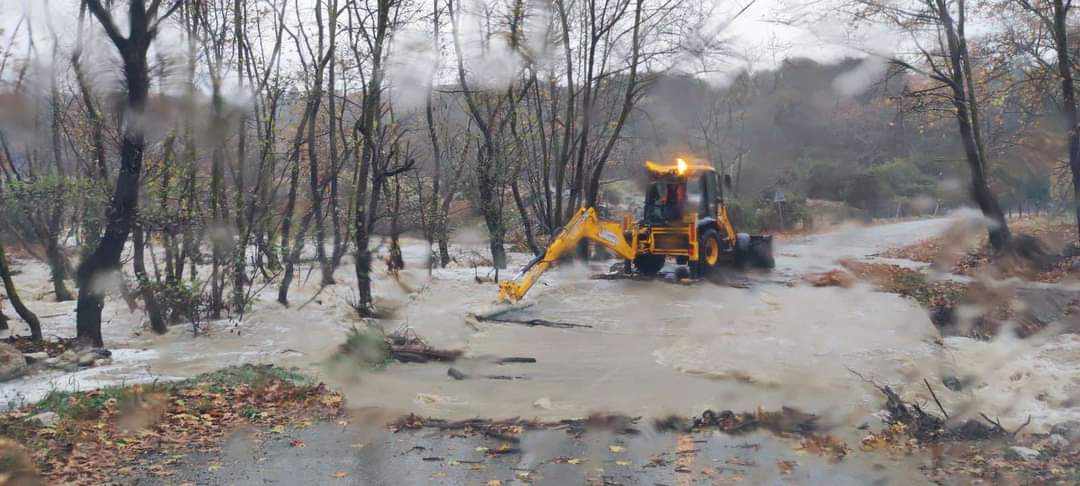 kozani bora 4