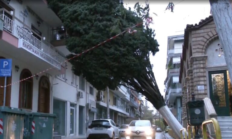 Θεσσαλονίκη: Απομακρύνθηκε το δέντρο που είχε πέσει σε πολυκατοικίες