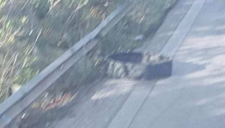 Χανιά: Λαχτάρησαν μαθητές Γυμνασίου σε σχολική εκδρομή – ”Έσκασε” το λάστιχο του λεωφορείου