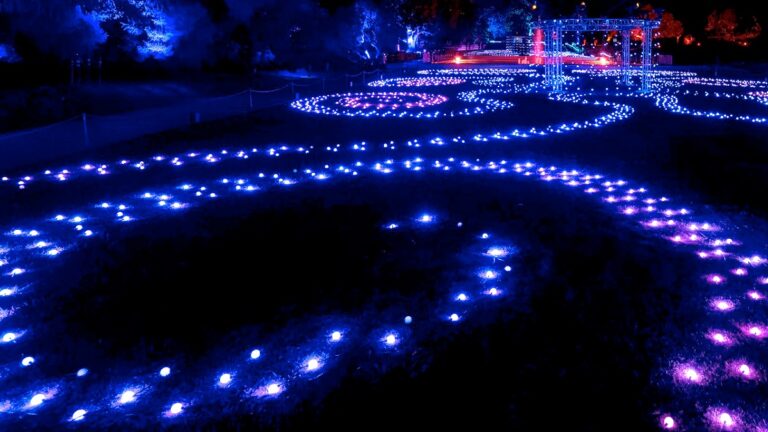  Το “Lightscape” φωτίζει τις γιορτινές νύχτες στον Βοτανικό Κήπο του Μπρούκλιν
