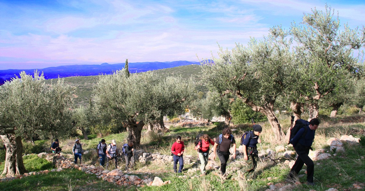 Καλαμάτα: Πεζοπορία Πολιανή – Άγριλος με τον Ορειβατικό Σύλλογο