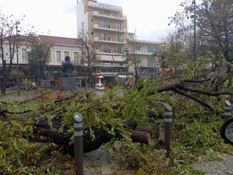 Χανιά: Προβλήματα στο οδικό δίκτυο και πτώσεις δέντρων από την κακοκαιρία