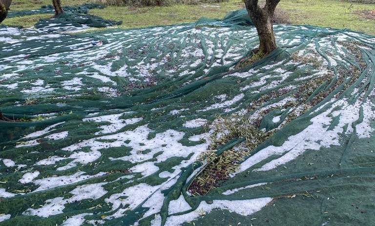 Μεσσηνία: Ζημιές σε καλλιέργειες και αγροτικούς δρόμους από την κακοκαιρία