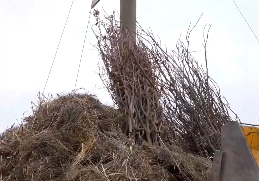 ss