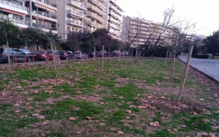 Θεσσαλονίκη: Άγνωστοι έσπασαν τα δέντρα που φυτεύτηκαν πρόσφατα στη Νέα Παραλία