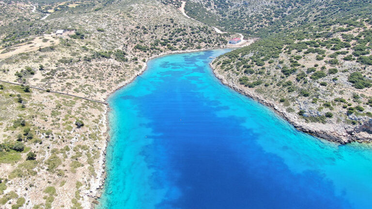 Ινστιτούτο Θαλάσσιας Προστασίας Αρχιπέλαγος: Γραφειοκρατική παρεμπόδιση της δημιουργίας Κέντρου Περίθαλψης Θαλασσίων Ειδών στους Λειψούς