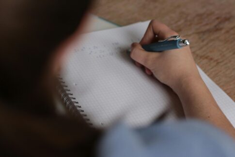 Καστοριά: Νεκρή αρκούδα από πυροβόλο όπλο