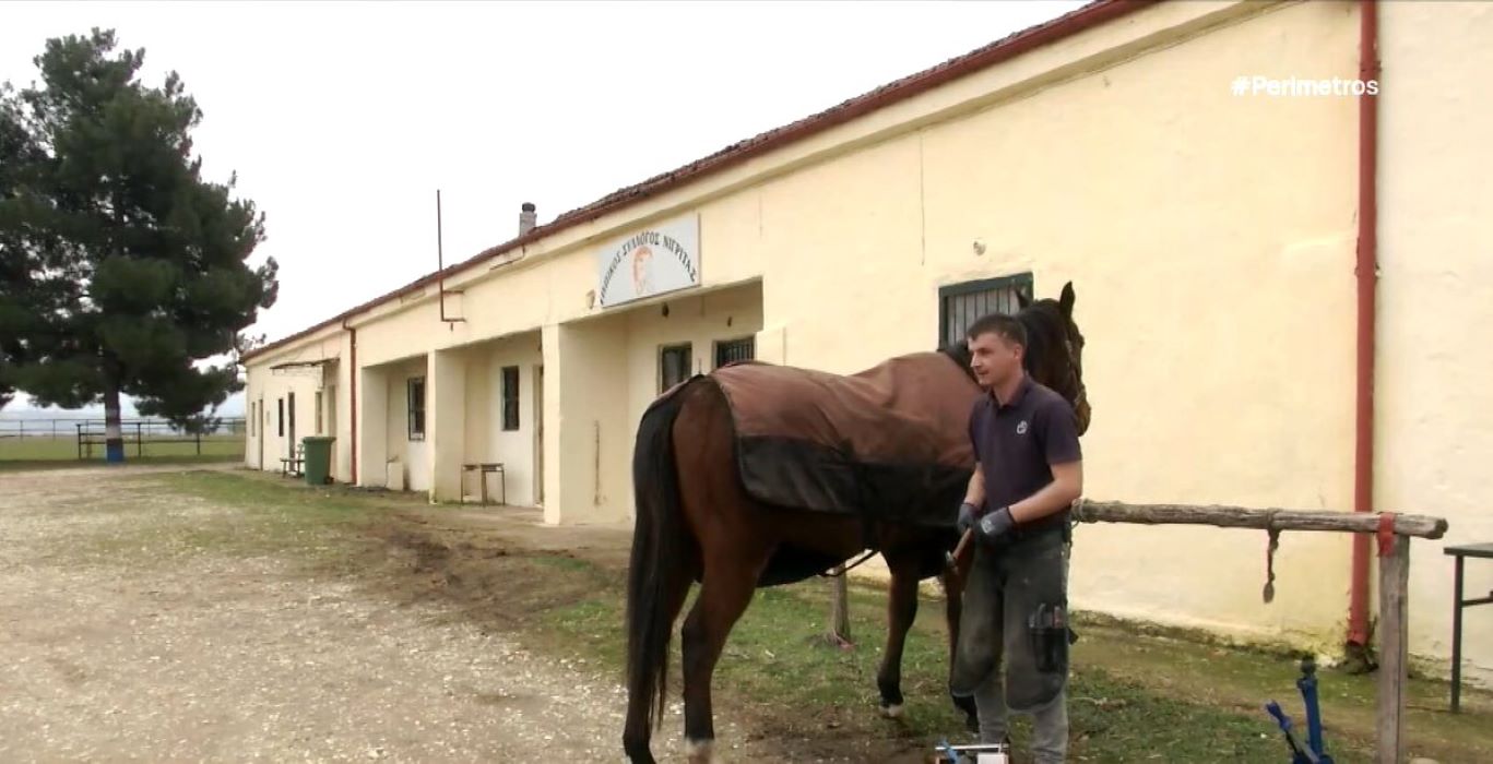 Στην Νιγρίτα ένας από τους νεότερους πεταλωτές αλόγων στην Ελλάδα