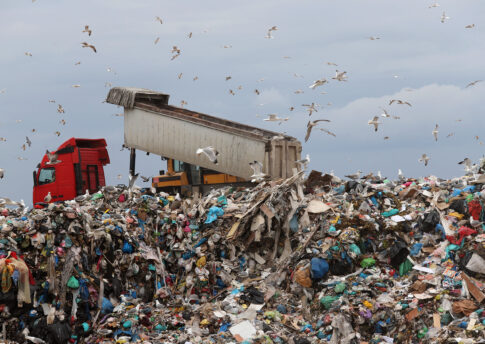 Η ξεχασμένη σπανιότητα: <br> Φόβος ή ευκαιρία;