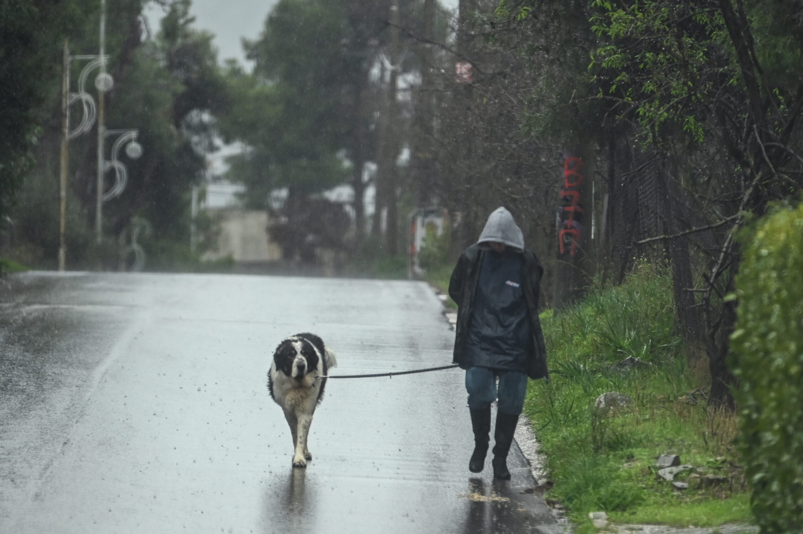 Καιρός: Συννεφιές, τοπικές βροχές και μικρή πτώση της θερμοκρασίας – Πρόγνωση από την Α. Τυράσκη