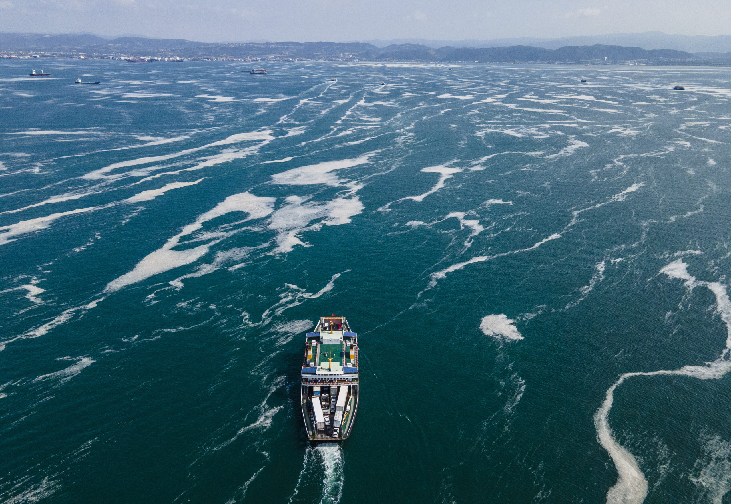 Sea Snot