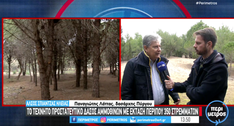 Η ιστορία του άλσους Σπιάντζας στον Πύργο (video)