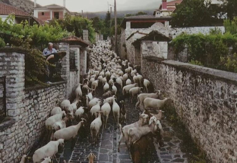 Ιωάννινα: Το οικομουσείο Ζαγορίου βραβεύτηκε από τον οργανισμό European Heritage Days- Η σημασία της μετακινούμενης κτηνοτροφίας