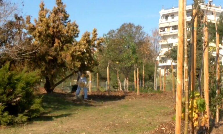 Θεσσαλονίκη: Για δεύτερη συνεχόμενη χρονιά δενδροφύτευση  στο βρώσιμο δάσος της Νεάπολης