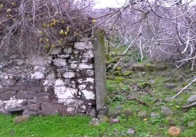 Χάλικας Λέσβου: Στο ερειπωμένο χωριό στους πρόποδες του βουνού Λεπετύμνου