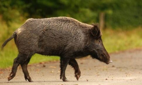 Ψηφιακός Μετασχηματισμός 2026: Υπερυπολογιστής, 5G, οπτικές ίνες και νέες ψηφιακές υπηρεσίες