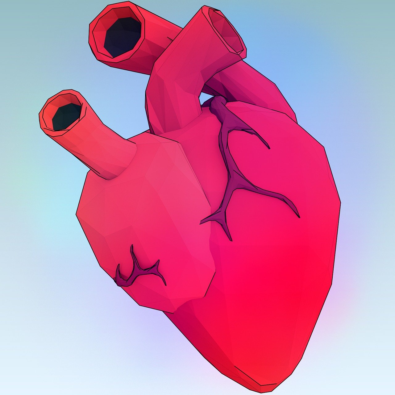 heart-1164567_1280