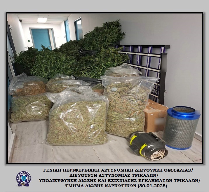 Αστυνομικοί των Τρικάλων εντόπισαν 105 κιλά κάνναβη και 208 δενδρύλλια κάνναβης σε Θεσσαλονίκη και Χαλκιδική – Τέσσερις συλλήψεις