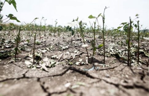 Συνέντευξη του Κυριάκου Μητσοτάκη στο Euronews: Οι διατλαντικές σχέσεις γίνονται πιο πολύπλοκες – Να διασφαλίσουμε την ευρωπαϊκή παρουσία στη Γάζα