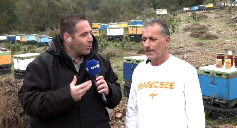Αρφαρά Μεσσηνίας: Παραγωγή βραβευμένου μελιού από έλατο και βελανιδιά