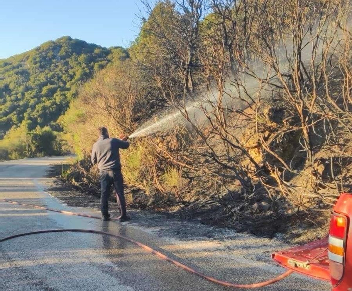 Άμεση κατάσβεση της πυρκαγιάς στο Βλόγγο Γορτυνίας