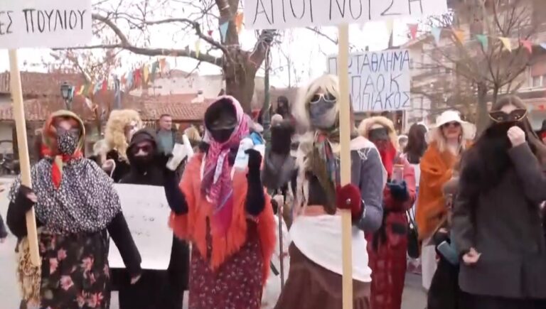 Βόιο: Μουμπουσαρια στη Σιάτιστα