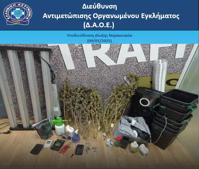 Συνελήφθη 42χρονος ημεδαπός για καλλιέργεια δενδρυλλίων κάνναβης στην οικία του με την υδροπονική μέθοδο