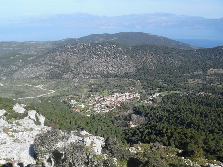 Eπανεμφάνιση του λύκου στην Πελοπόννησο: Ανάγκη εκπόνησης ολοκληρωμένου σχεδίου διαχείρισης