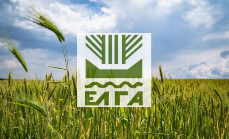 Πορίσματα εκτίμησης ζημιών από τον ΕΛΓΑ στην Τοπική Κοινότητα Αγιάς στα Χανιά