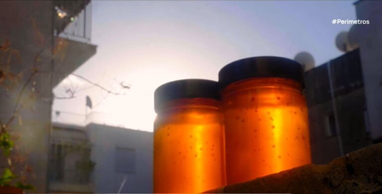 Μελίσσια στο μπαλκόνι ενός σπιτιού στην Αθήνα