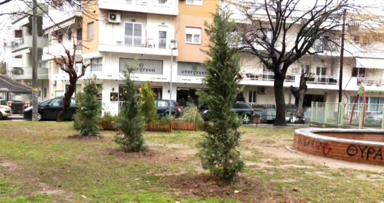 Πενήντα  χριστουγεννιάτικα δέντρα μεταφυτεύθηκαν σε πάρκα και σχολεία της Αλεξανδρουπόλεως
