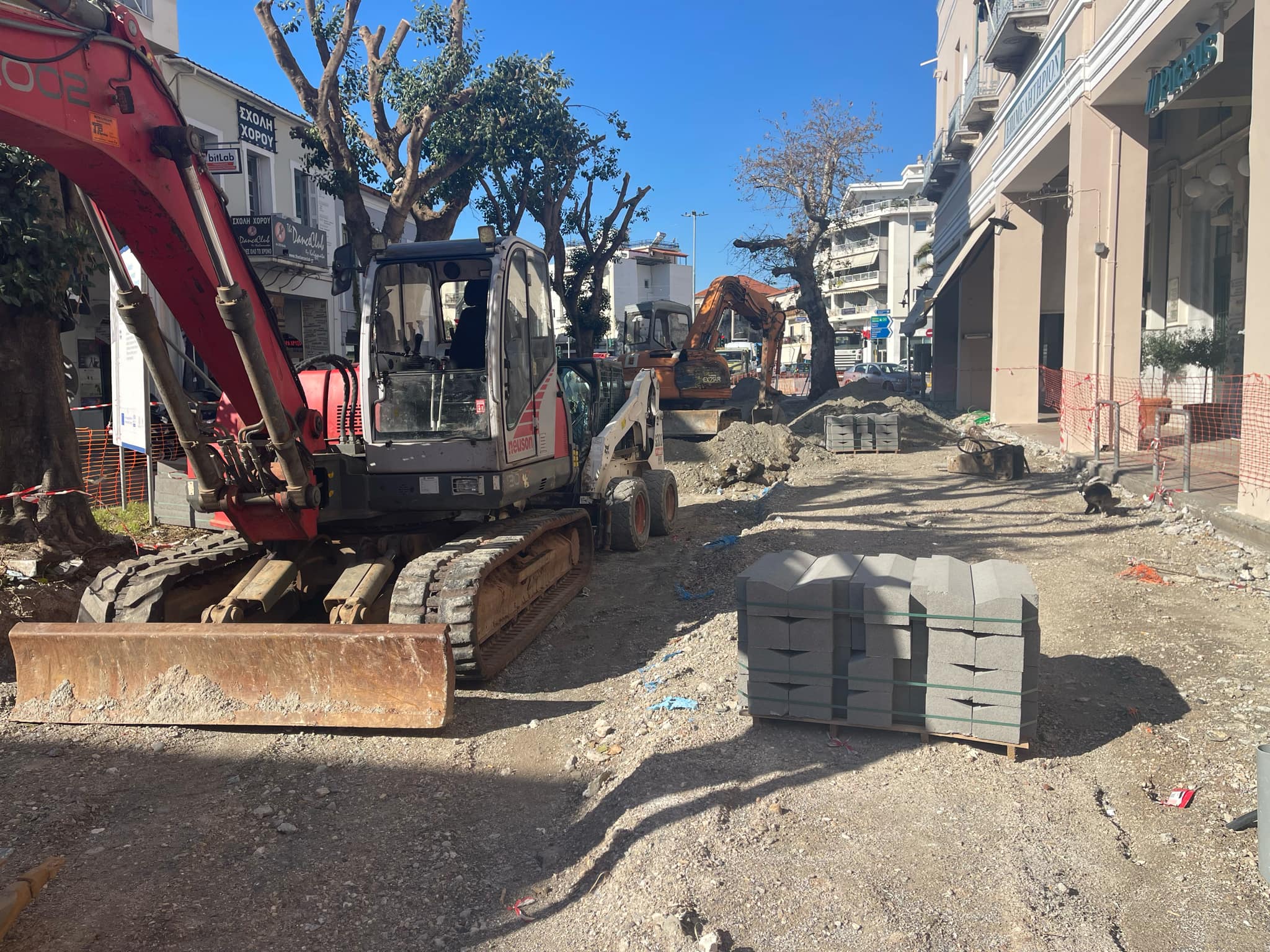 Καλαμάτα: Παραμένουν τα δέντρα στην 23ης Μαρτίου – Προχωρούν κανονικά τα έργα ανάπλασης