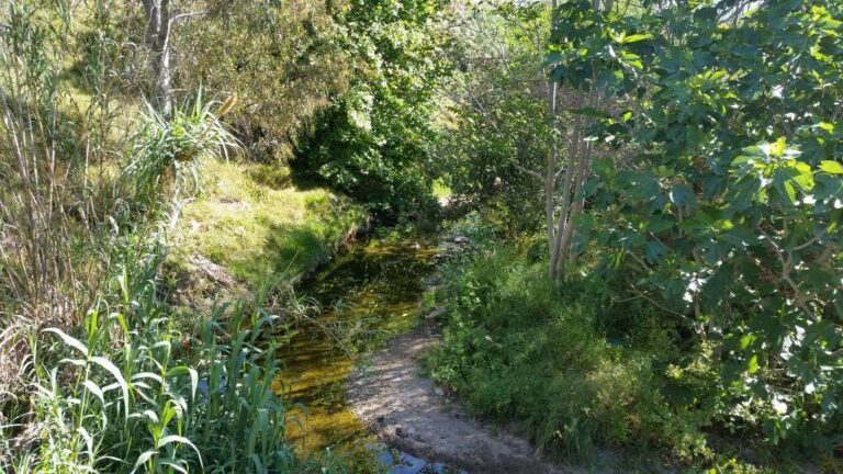 Παρέμβαση τεσσάρων Δήμων για την προστασία και την ανάδειξη του ρέματος της Πικροδάφνης