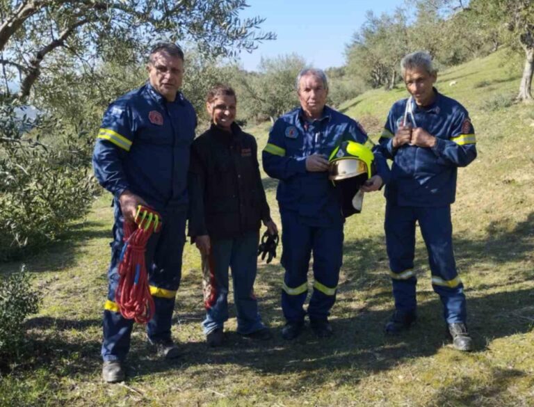 Πυροσβέστες απεγκλώβισαν πρόβατα στην ορεινή Ηλεία