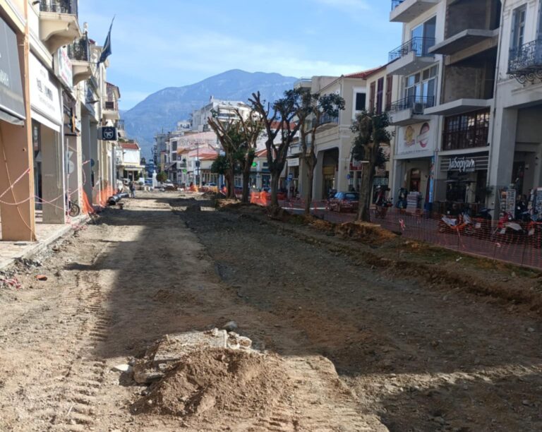 Καλαμάτα:  Αντικατάσταση των δέντρων της «23ης Μαρτίου» ζητά ο Εμπορικός Σύλλογος